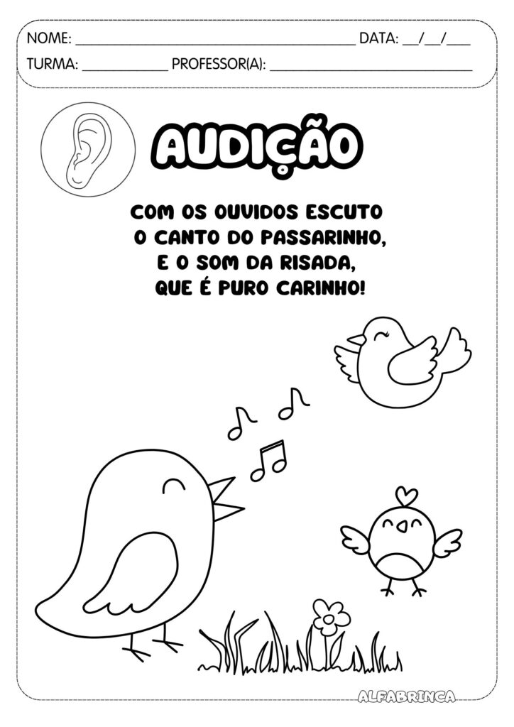 Cinco sentidos - Atividades para imprimir