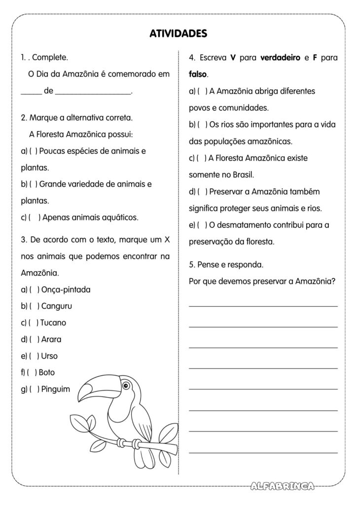 Atividade sobre a Amazônia para Ensino Fundamental